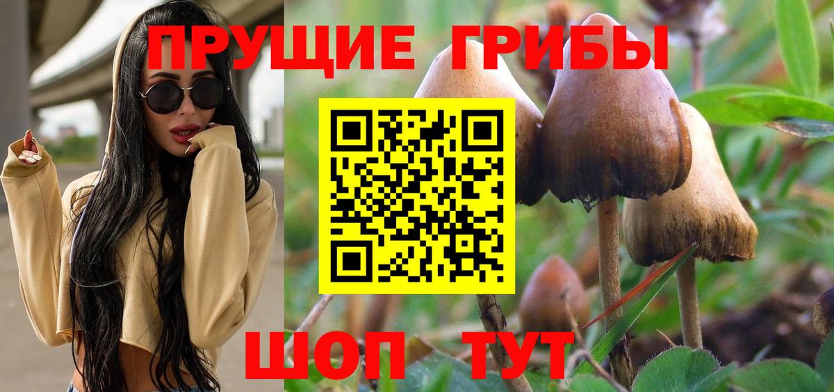 Галлюциногенные грибы мицелий Краснокаменск