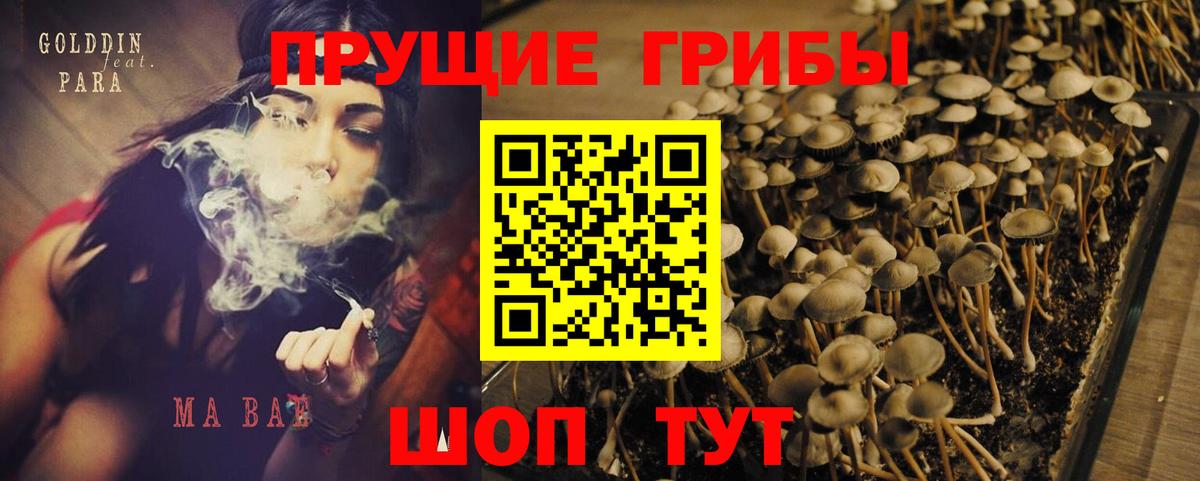 Галлюциногенные грибы Cubensis  Вход с VPN  купить   Псилоцибиновые грибы Cubensis  Краснокаменск 